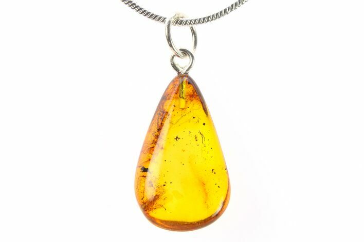 Polished Baltic Amber Pendant (Necklace) - Aphid Nymph! #288873